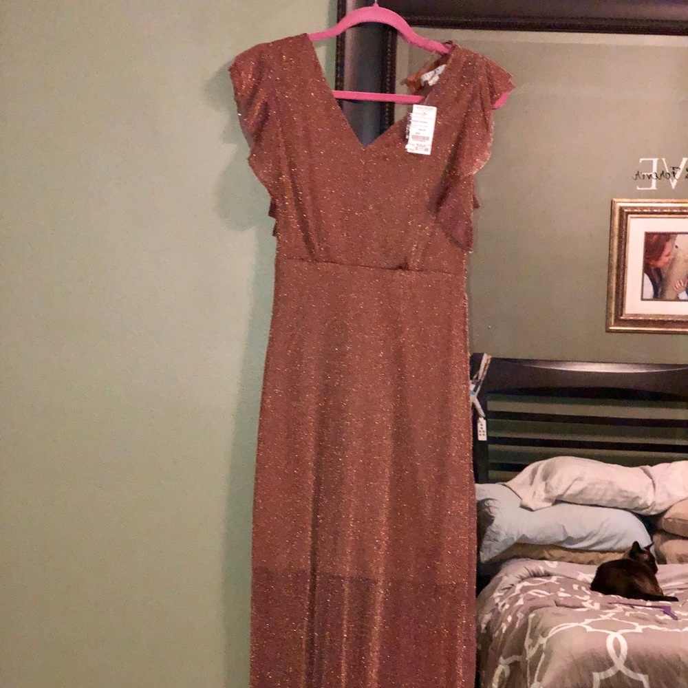 Stunning sheer dress with lining